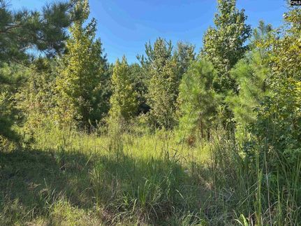 Homesite for sale in Richland County, South Carolina