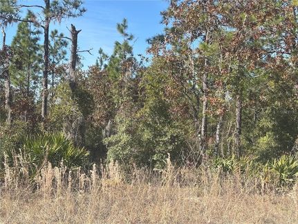 Land for sale in Levy County, Florida