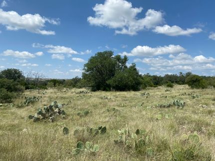 Land for sale in Edwards County, Texas