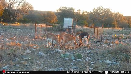 Land for sale in Edwards County, Texas