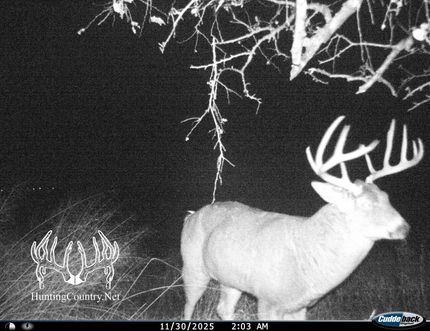 Farm and Ranch for sale in Ford County, Kansas