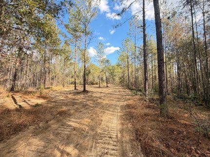 Timberland Property for sale in Crenshaw County, Alabama
