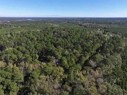 Undeveloped Land for sale in Bienville Parish, Louisiana