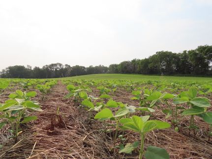 Farm and Ranch for sale in McIntosh County, North Dakota