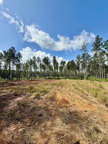 Land for sale in Winston County, Mississippi