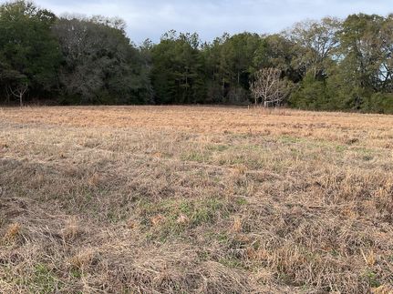 Land for sale in Covington County, Alabama
