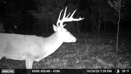 Land for sale in Texas County, Missouri