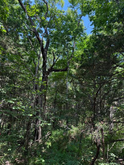 Land for sale in Maries County, Missouri