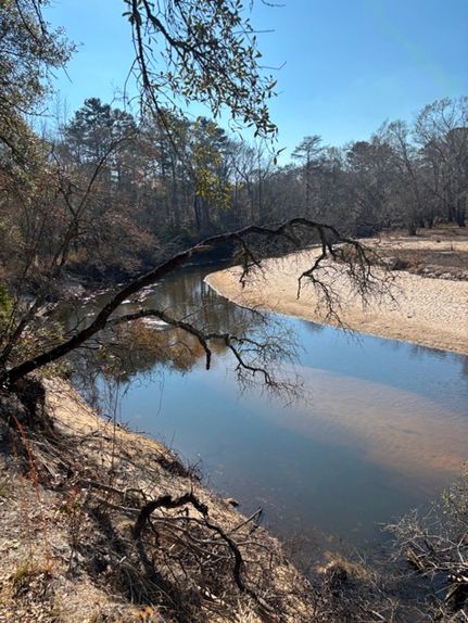 Land for sale in Tattnall County, Georgia