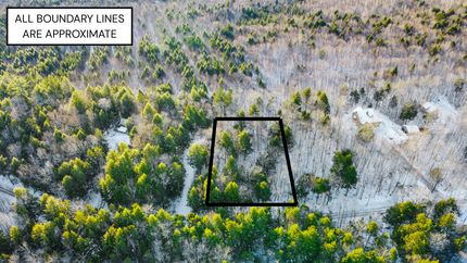 Homesite for sale in Washington County, Maine