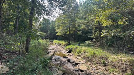 Timberland Property for sale in Cleburne County, Arkansas