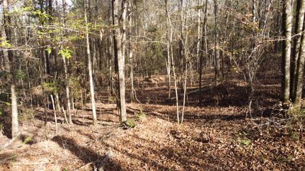 Timberland Property for sale in Natchitoches Parish, Louisiana