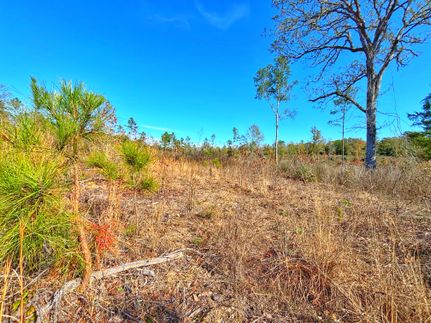 Land for sale in Anderson County, Texas