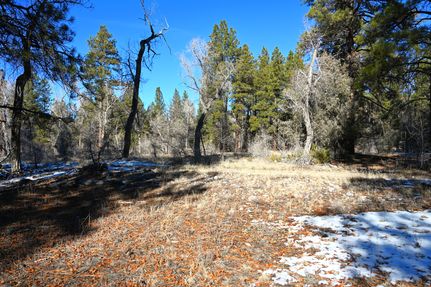 Riverfront Property for sale in Rio Arriba County, New Mexico