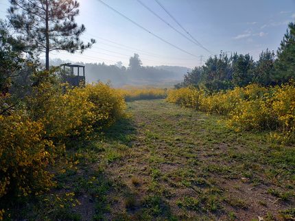 Land for sale in Person County, North Carolina