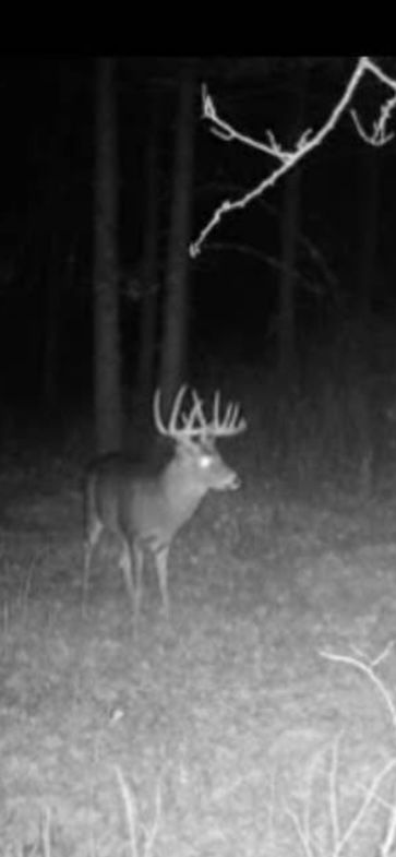 Land for sale in Marengo County, Alabama