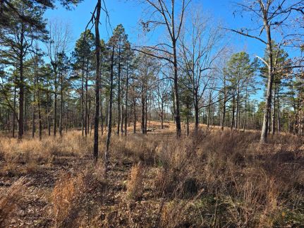 Hunting Property for sale in Izard County, Arkansas
