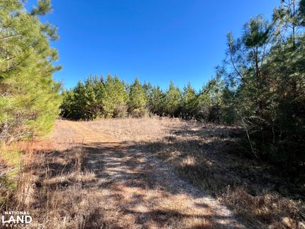 Land for sale in Choctaw County, Alabama