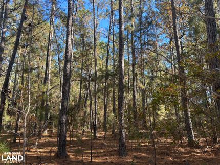 Farm and Ranch for sale in Williamsburg County, South Carolina