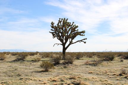 Land for sale in San Bernardino County, California