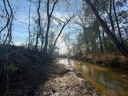 Recreational Property for sale in Amite County, Mississippi
