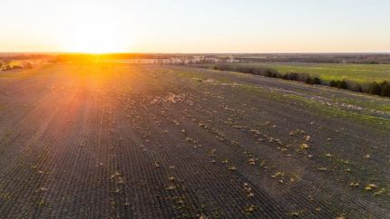 Timberland Property for sale in Delta County, Texas