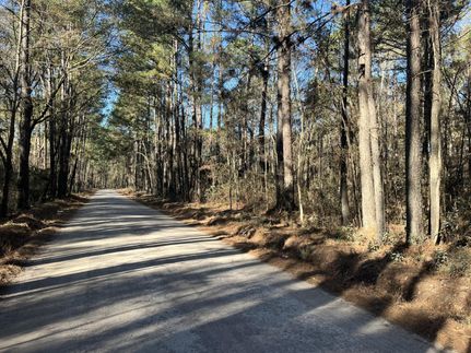 Land for sale in Colleton County, South Carolina