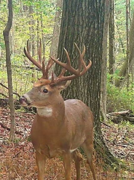 Recreational Property for sale in Monroe County, Ohio