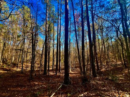 Land for sale in Lawrence County, Mississippi