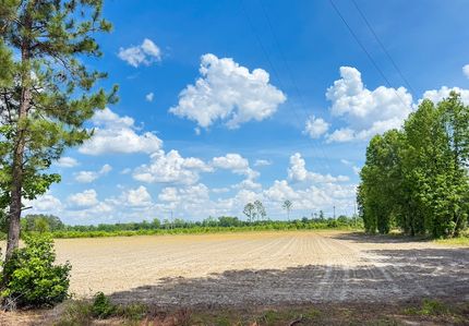 Recreational Property for sale in Marion County, South Carolina