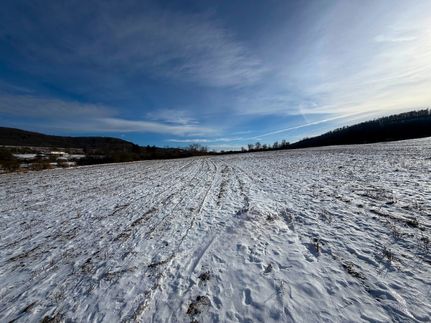 Hunting Property for sale in Allegany County, New York