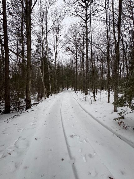 Land for sale in Roscommon County, Michigan