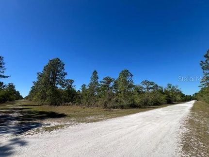 Undeveloped Land for sale in Polk County, Florida
