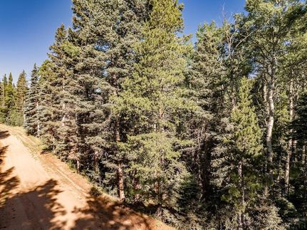 Homesite for sale in Costilla County, Colorado