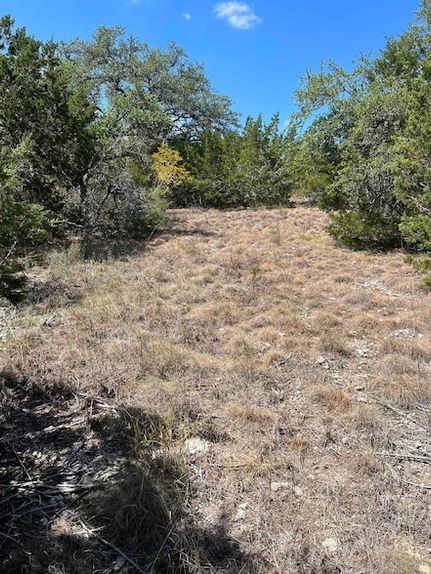 Land for sale in Travis County, Texas