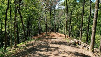 Timberland Property for sale in Cherokee County, North Carolina