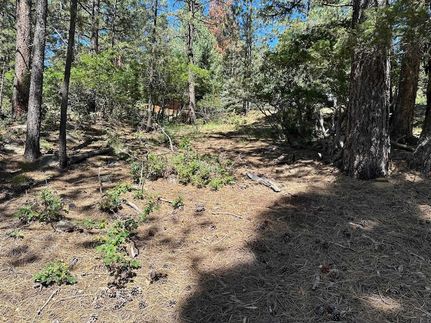 Homesite for sale in Colfax County, New Mexico