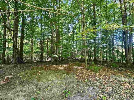 Undeveloped Land for sale in Antrim County, Michigan