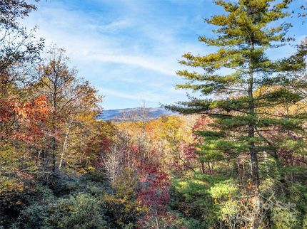 Farm and Ranch for sale in Transylvania County, North Carolina