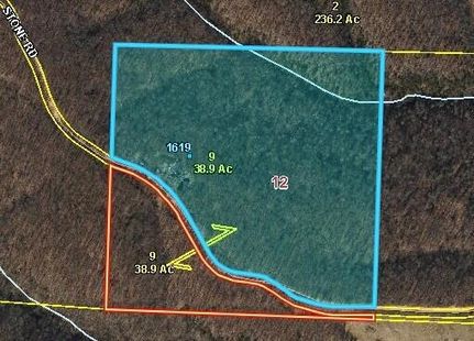 Undeveloped Land for sale in McDonald County, Missouri