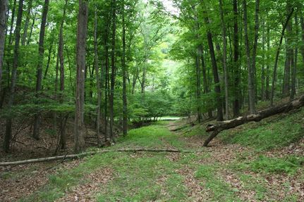 Homesite for sale in Highland County, Virginia