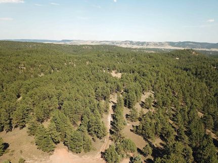 Land for sale in Custer County, South Dakota