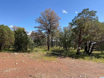 Undeveloped Land for sale in Grant County, New Mexico
