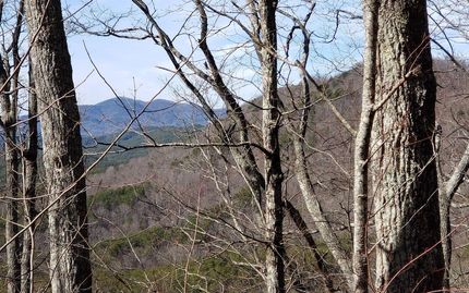Homesite for sale in Polk County, Tennessee
