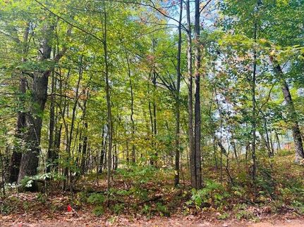 Homesite for sale in Newaygo County, Michigan
