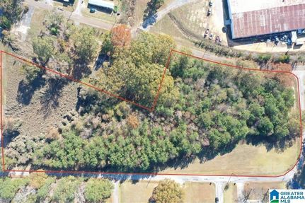 Land for sale in Marion County, Alabama
