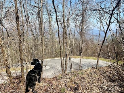 Farm and Ranch for sale in McDowell County, North Carolina