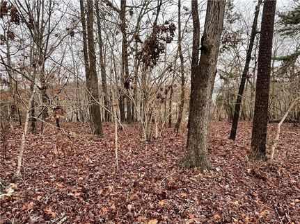 Land for sale in Montgomery County, North Carolina