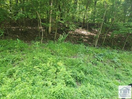 Recreational Property for sale in Henry County, Virginia