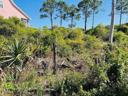 Homesite for sale in Gulf County, Florida